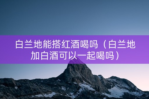 白兰地能搭红酒喝吗（白兰地加白酒可以一起喝吗）