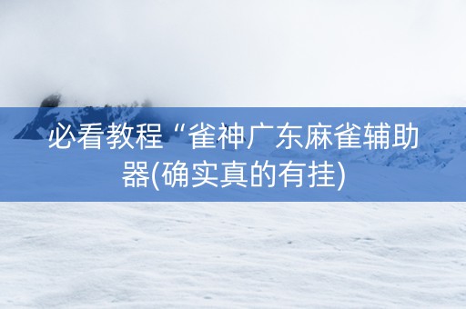 必看教程“雀神广东麻雀辅助器(确实真的有挂)