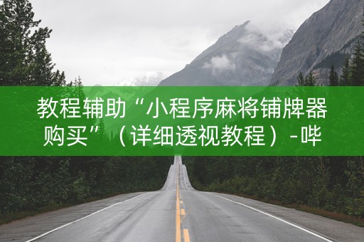 教程辅助“小程序麻将铺牌器购买”（详细透视教程）-哔哩哔哩