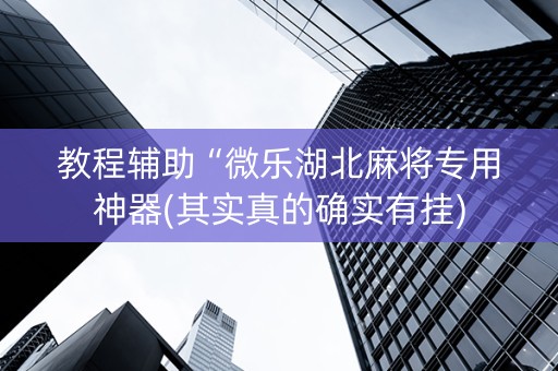 教程辅助“微乐湖北麻将专用神器(其实真的确实有挂)