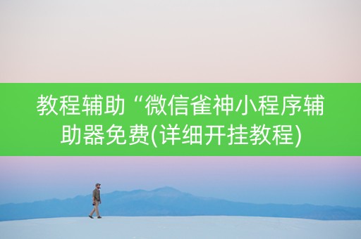 教程辅助“微信雀神小程序辅助器免费(详细开挂教程)