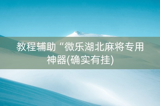 教程辅助“微乐湖北麻将专用神器(确实有挂)