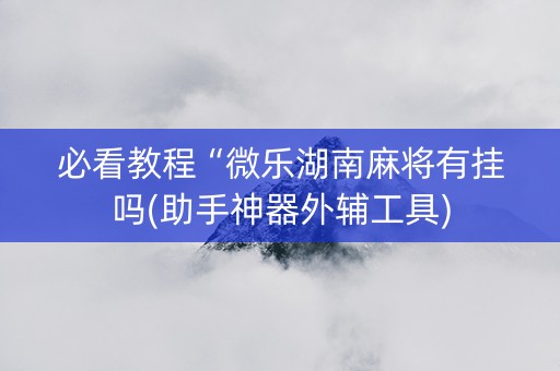 必看教程“微乐湖南麻将有挂吗(助手神器外辅工具)