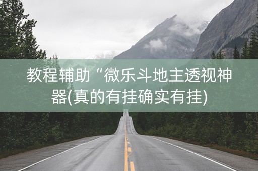 教程辅助“微乐斗地主透视神器(真的有挂确实有挂)