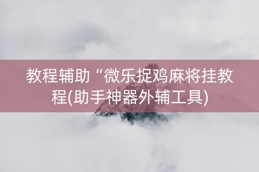 教程辅助“微乐捉鸡麻将挂教程(助手神器外辅工具)