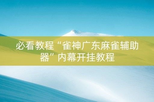 必看教程“雀神广东麻雀辅助器”内幕开挂教程