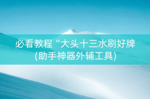 必看教程“大头十三水刷好牌(助手神器外辅工具)