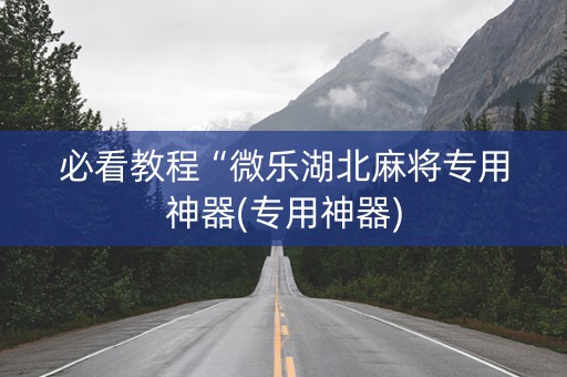 必看教程“微乐湖北麻将专用神器(专用神器)