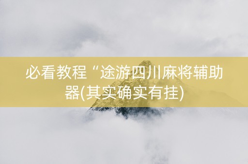 必看教程“途游四川麻将辅助器(其实确实有挂)