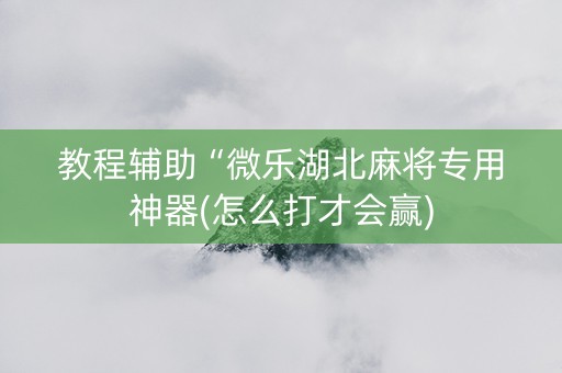 教程辅助“微乐湖北麻将专用神器(怎么打才会赢)