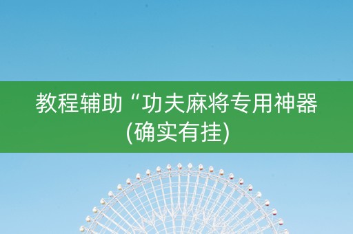 教程辅助“功夫麻将专用神器(确实有挂)