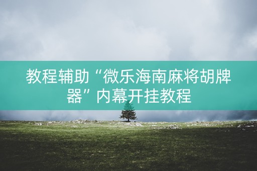 教程辅助“微乐海南麻将胡牌器”内幕开挂教程