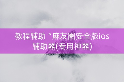 教程辅助“麻友圈安全版ios辅助器(专用神器)