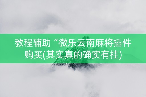 教程辅助“微乐云南麻将插件购买(其实真的确实有挂)