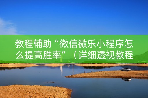 教程辅助“微信微乐小程序怎么提高胜率”（详细透视教程）-哔哩哔哩