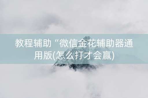 教程辅助“微信金花辅助器通用版(怎么打才会赢)