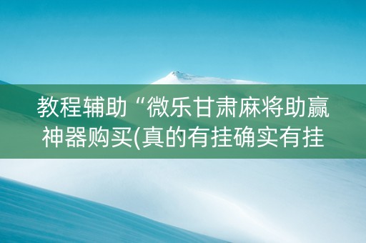 教程辅助“微乐甘肃麻将助赢神器购买(真的有挂确实有挂)