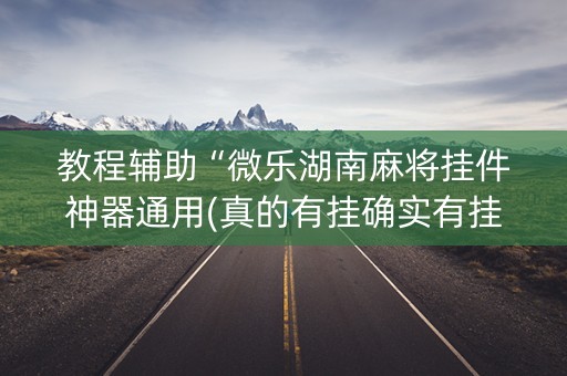 教程辅助“微乐湖南麻将挂件神器通用(真的有挂确实有挂)