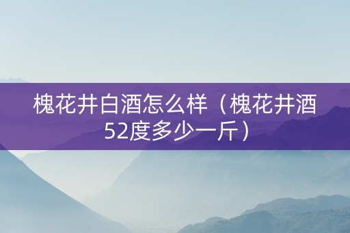 槐花井白酒怎么样（槐花井酒52度多少一斤）