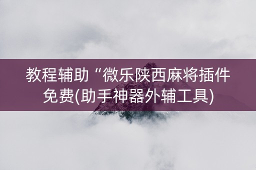 教程辅助“微乐陕西麻将插件免费(助手神器外辅工具)