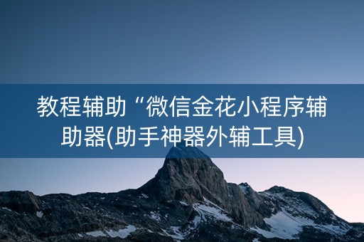 教程辅助“微信金花小程序辅助器(助手神器外辅工具)