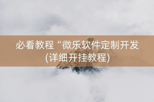 必看教程“微乐软件定制开发(详细开挂教程)