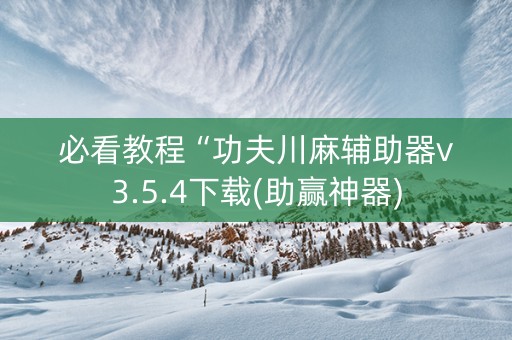 必看教程“功夫川麻辅助器v3.5.4下载(助赢神器)