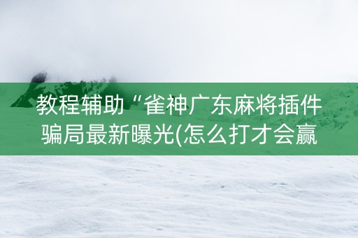 教程辅助“雀神广东麻将插件骗局最新曝光(怎么打才会赢)