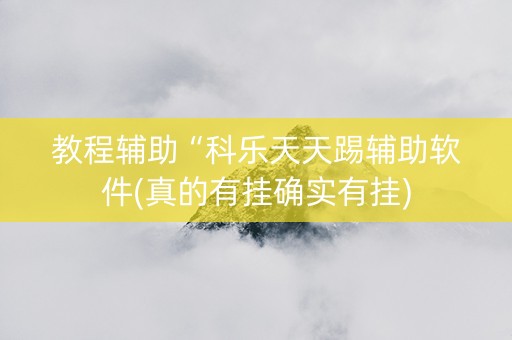 教程辅助“科乐天天踢辅助软件(真的有挂确实有挂)