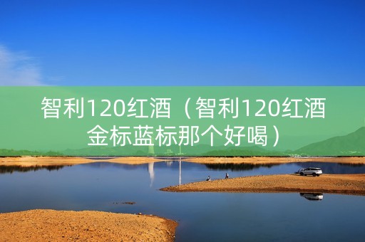 智利120红酒（智利120红酒金标蓝标那个好喝）