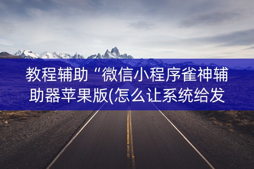 教程辅助“微信小程序雀神辅助器苹果版(怎么让系统给发好牌)