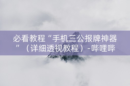 必看教程“手机三公报牌神器”（详细透视教程）-哔哩哔哩