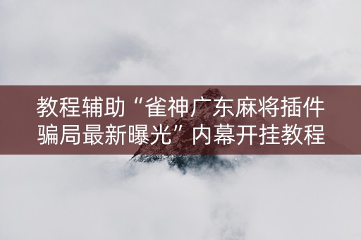 教程辅助“雀神广东麻将插件骗局最新曝光”内幕开挂教程