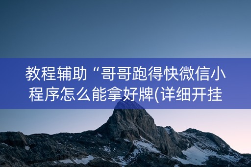 教程辅助“哥哥跑得快微信小程序怎么能拿好牌(详细开挂教程)