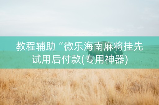 教程辅助“微乐海南麻将挂先试用后付款(专用神器)