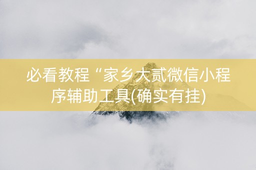 必看教程“家乡大贰微信小程序辅助工具(确实有挂)