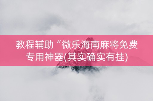 教程辅助“微乐海南麻将免费专用神器(其实确实有挂)