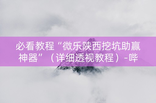 必看教程“微乐陕西挖坑助赢神器”（详细透视教程）-哔哩哔哩