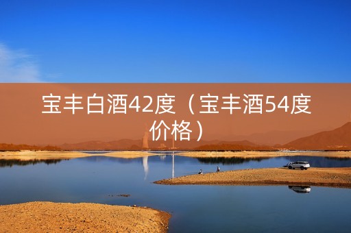 宝丰白酒42度（宝丰酒54度价格）