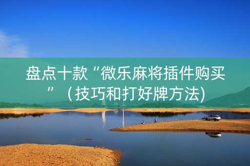 盘点十款“微乐麻将插件购买”（技巧和打好牌方法)