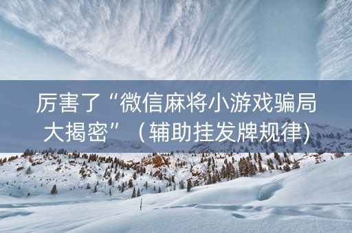 厉害了“微信麻将小游戏骗局大揭密”（辅助挂发牌规律)