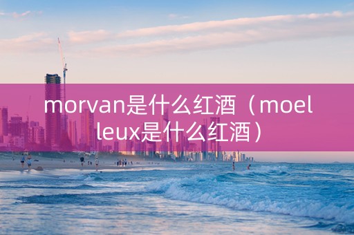 morvan是什么红酒（moelleux是什么红酒）