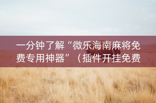 一分钟了解“微乐海南麻将免费专用神器”（插件开挂免费AI)