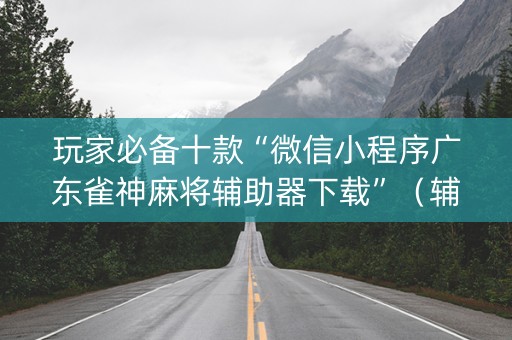 玩家必备十款“微信小程序广东雀神麻将辅助器下载”（辅牌器插件购买)