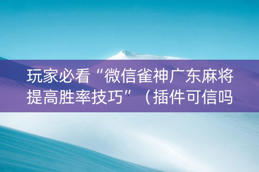 玩家必看“微信雀神广东麻将提高胜率技巧”（插件可信吗)