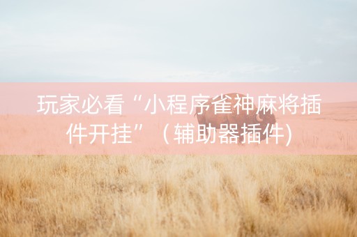 玩家必看“小程序雀神麻将插件开挂”（辅助器插件)