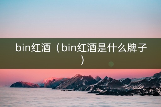 bin红酒（bin红酒是什么牌子）