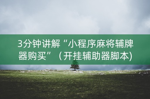 3分钟讲解“小程序麻将辅牌器购买”（开挂辅助器脚本)