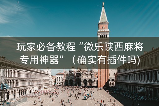 玩家必备教程“微乐陕西麻将专用神器”（确实有插件吗)