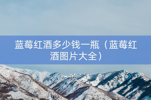 蓝莓红酒多少钱一瓶（蓝莓红酒图片大全）